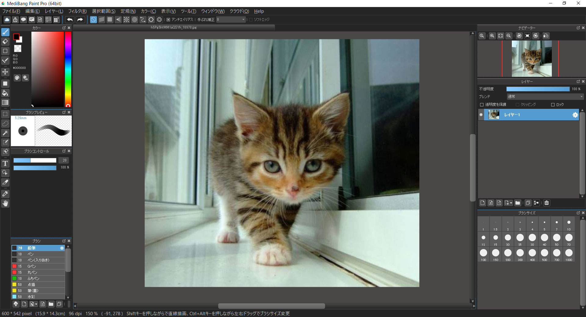 Adobe Photoshop CS5 Mac用 英語版 フォトショップ 正規版
